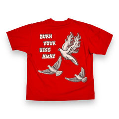 BURN YOUR SINS AWAY image 1