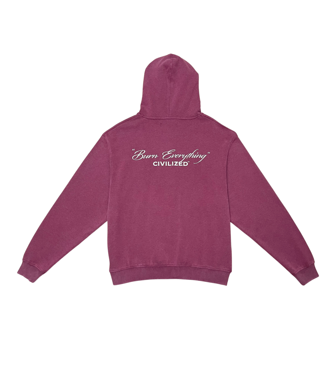 BURNING MONEY HOODIE image 1