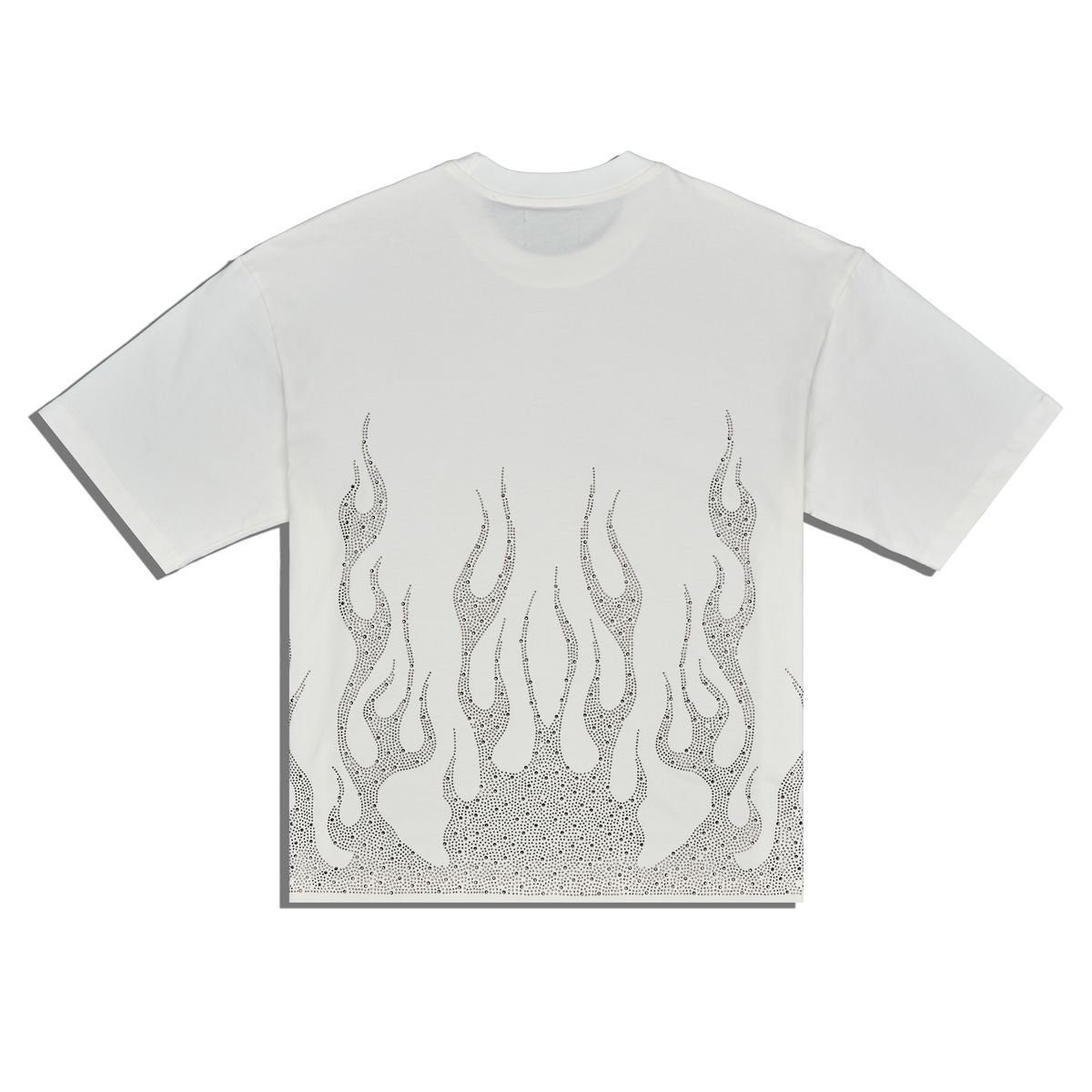 FLAMES image 1