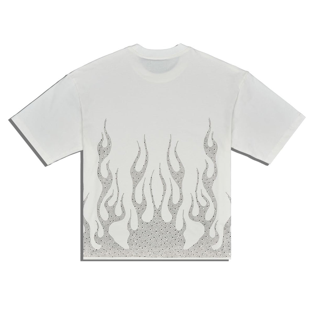 FLAMES image 1