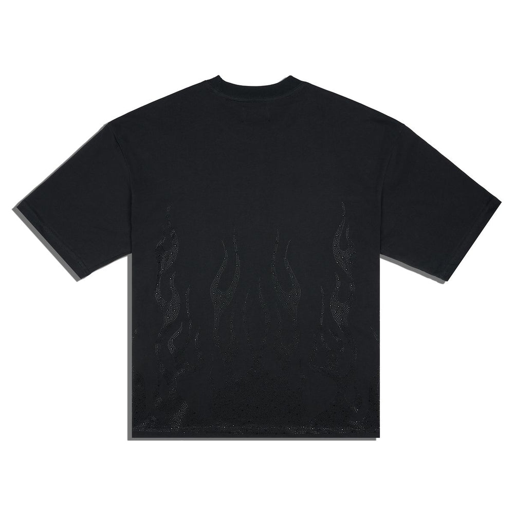 FLAMES image 1
